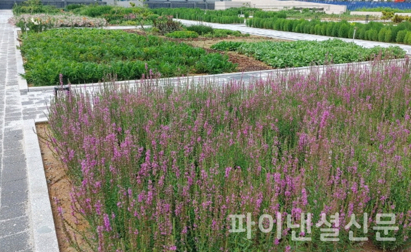LG생활건강 청주가든 전경 (사진=LG생활건강)