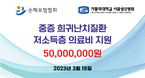 (손해보험협회 제공)