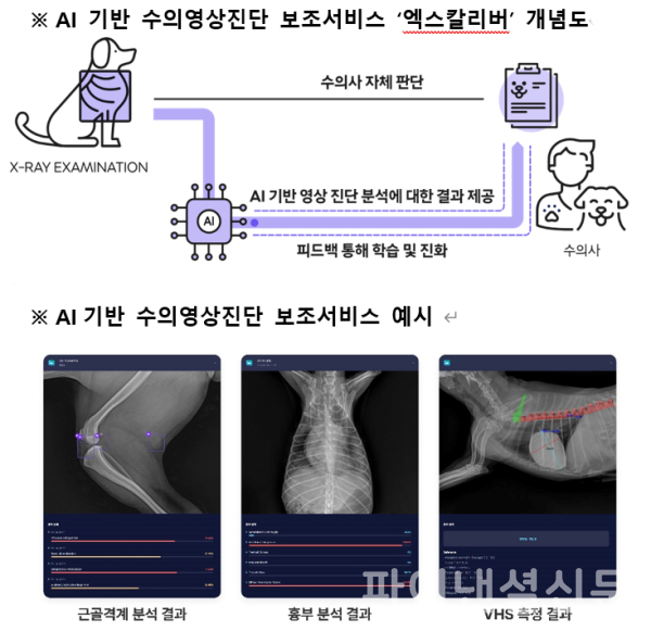 AI 기반 수의영상진단 보조서비스 ‘엑스칼리버’ 인포그래픽(위), AI기반 수의영상진단 보조서비스 예시 (아래) (사진=SKT)