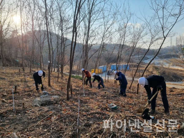한국석유공사 울산지사에서 탄소흡수원을 조성하기 위해 상수리 나무를 식재하고 있다. (사진=석유공사)