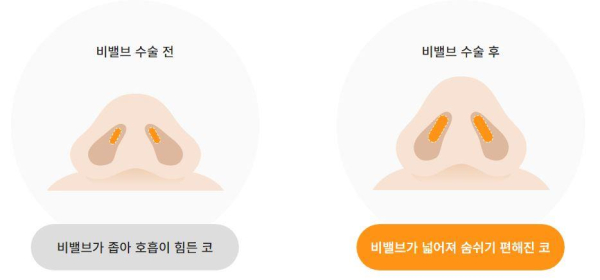(금융감독원 제공)