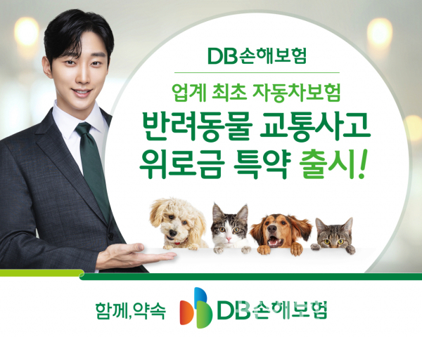 (사진=DB손해보험)
