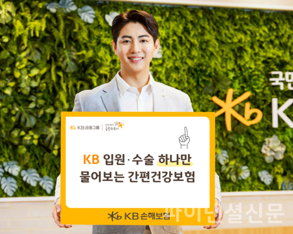 (사진=KB손해보험)