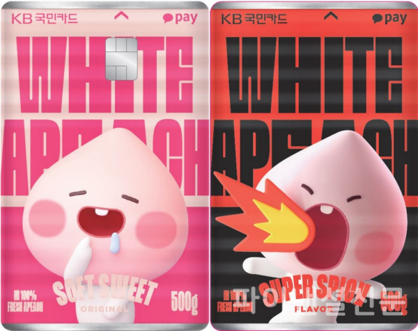 'KB국민카드 KaPick' 신용카드 2종 카드 플레이트 (KB국민카드 제공)