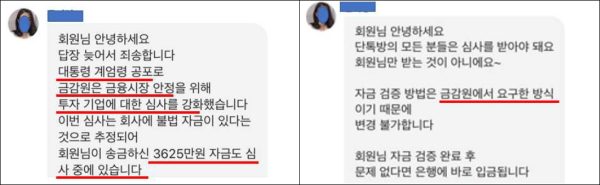 (금융감독원 제공)