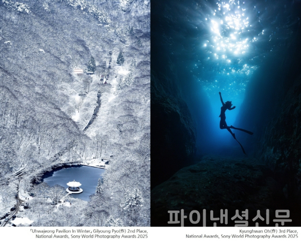 '2025 SWPA' 대한민국 내셔널 어워드 수상작 은상(왼쪽)과 동상(오른쪽) (사진=소니)
