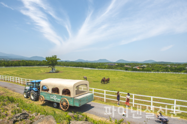 제주목장 전경 (사진=마사회)