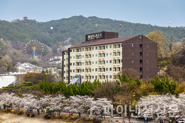 켄싱턴리조트 지리산남원 리조트 앞 벚꽃이 핀 전경 (사진=이랜드파크)