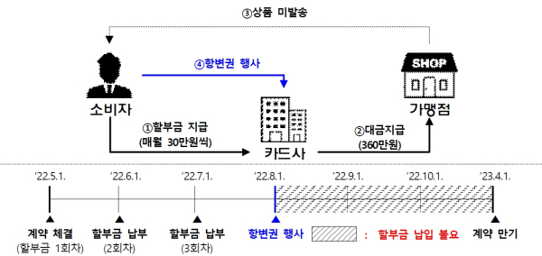 (금융감독원 제공)