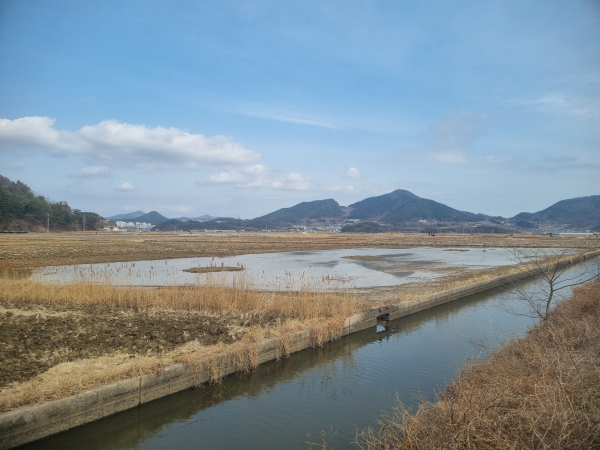 금호석유화학그룹 철새 서식지 전경(사진=금호석유화학그룹)