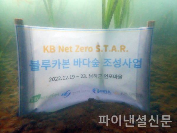 KB국민은행, KB Net Zero S.T.A.R. 블루카본 바다숲 조성/사진=국민은행